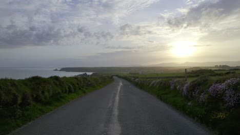 copper coast drive sunset high summer and the coast is full of vibrant colour the seapinks line the edges of the drive for miles natures wonderful display