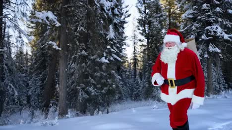 santa claus in a snowy forest