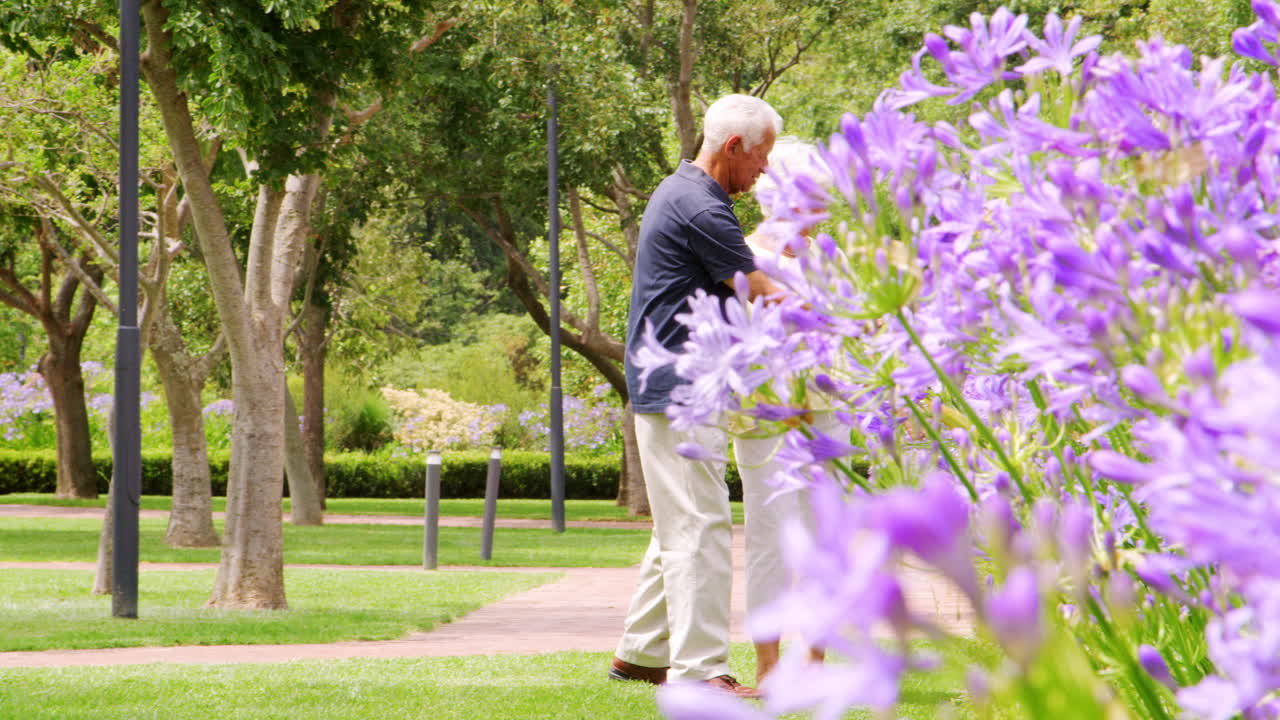 고위 백인 부부가 공원에서 손을 잡고 고 있다
