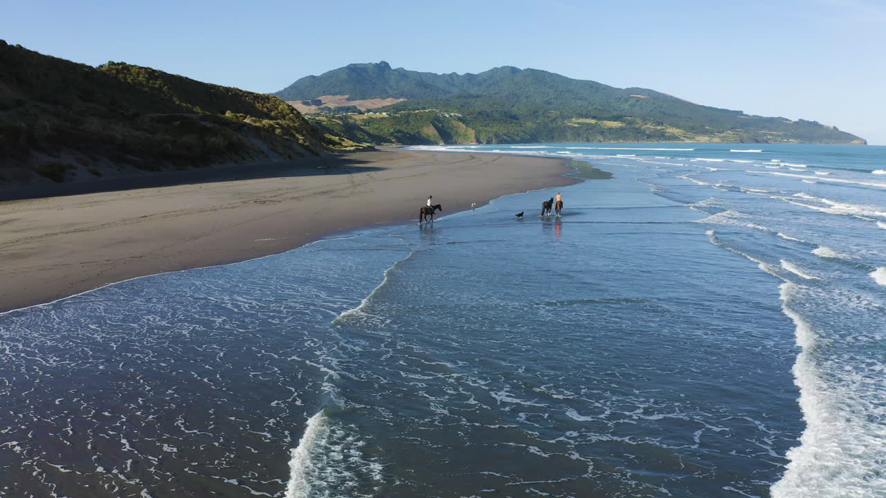 новая зеландия верховая езда на пляже раглан, осмотр достопримечательностей на побережье