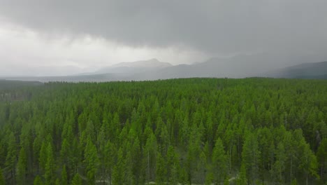 storm over turquoise lake in leadville colorado aerial-3
