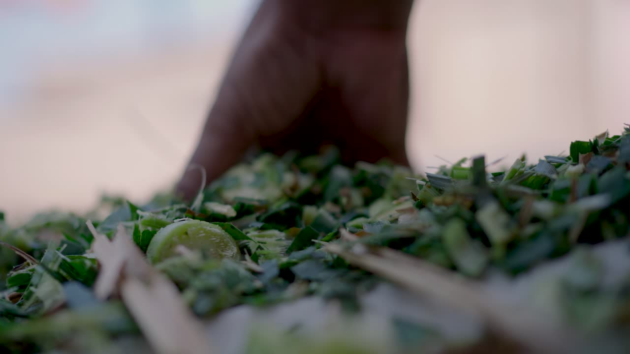 Close-up of chopped green fodder being prepared for livestock in a rural village in Punjab India