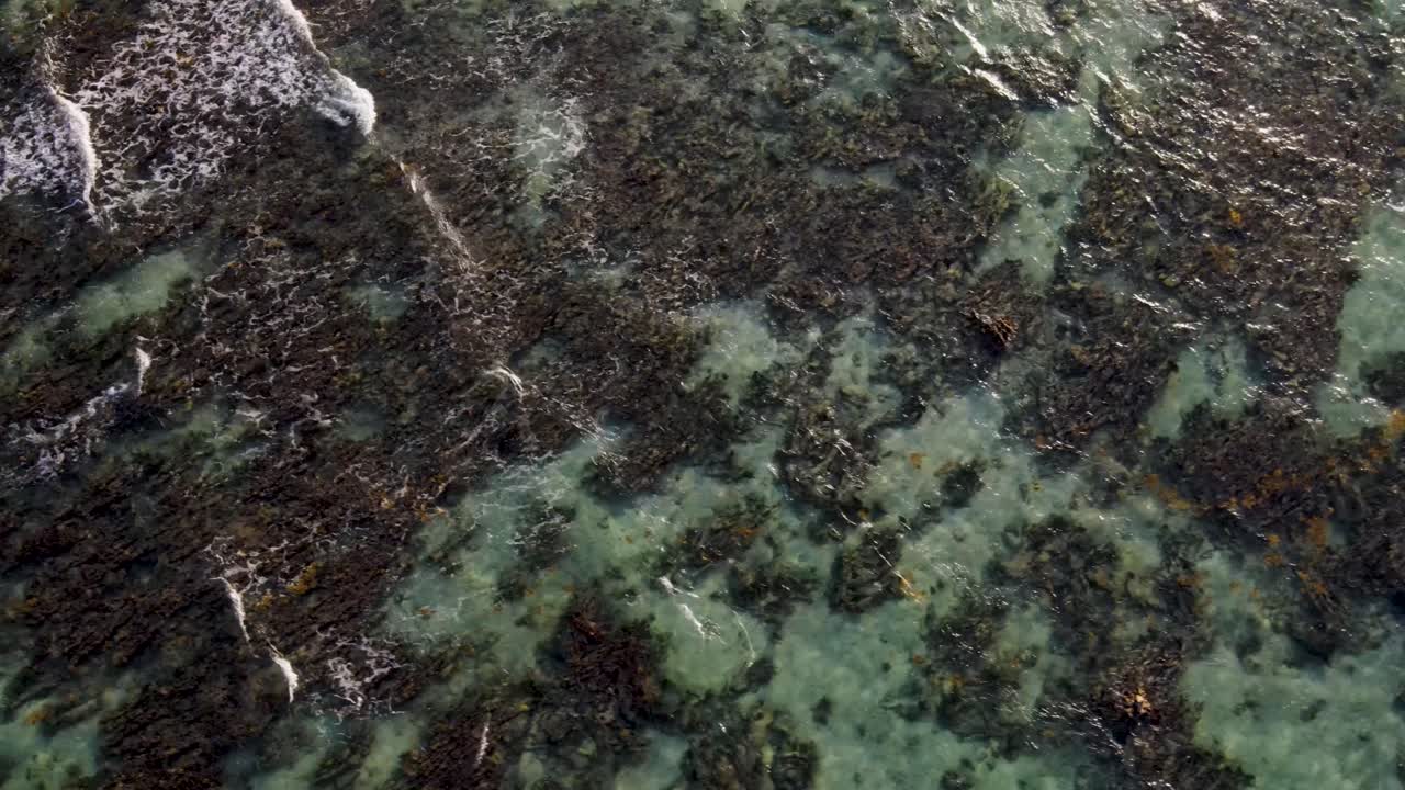 A spectacular 4K drone shot over the crystal-clear Caribbean Sea, off the coast near Tulum, Mexico