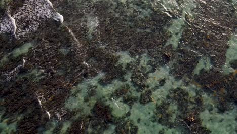 a spectacular 4k drone shot over the crystal-clear caribbean sea, off the coast near tulum, mexico