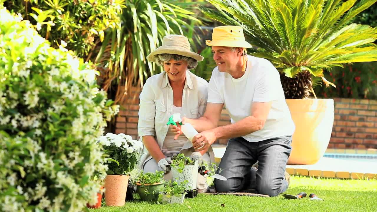 pareja madura rociando plantas en macetas en el jardín