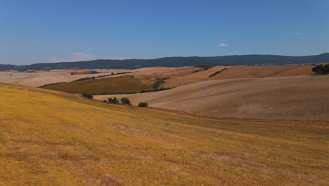 Aerial-view-of-plain-farm-lands-used-as-wineyard-surrounded-by-trees-and-mountains-with-windmill-under-a-clear-sky-at-Tuscany,-Italy