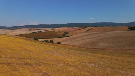 vista aérea de tierras agrícolas llanas utilizadas como viñedo rodeadas de árboles y montañas con molino de viento bajo un cielo despejado en toscana, italia