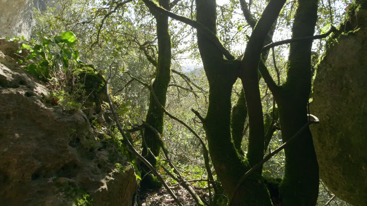 viajando en un hermoso bosque en la dordogne, sitio de campaña, a través de rocas