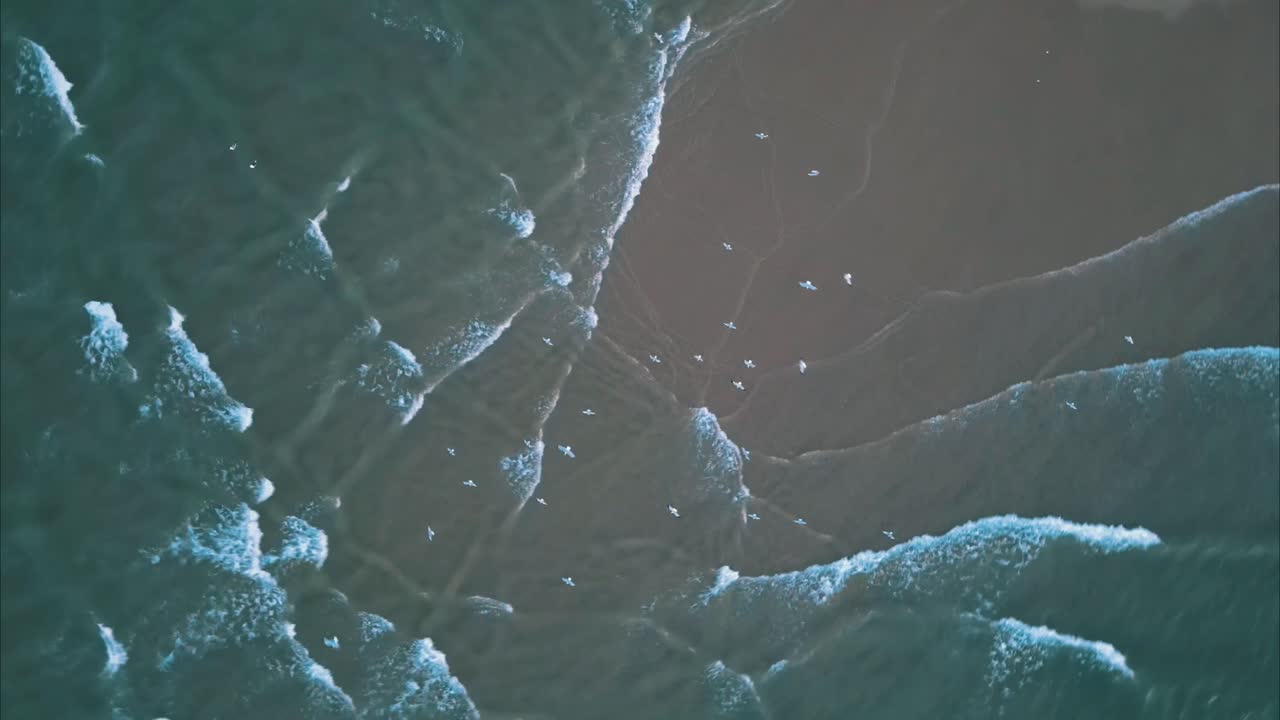 Flock of seagulls swarm in the sky as ocean waves crash on sandy beach dunes from every side, drone top down overview rising