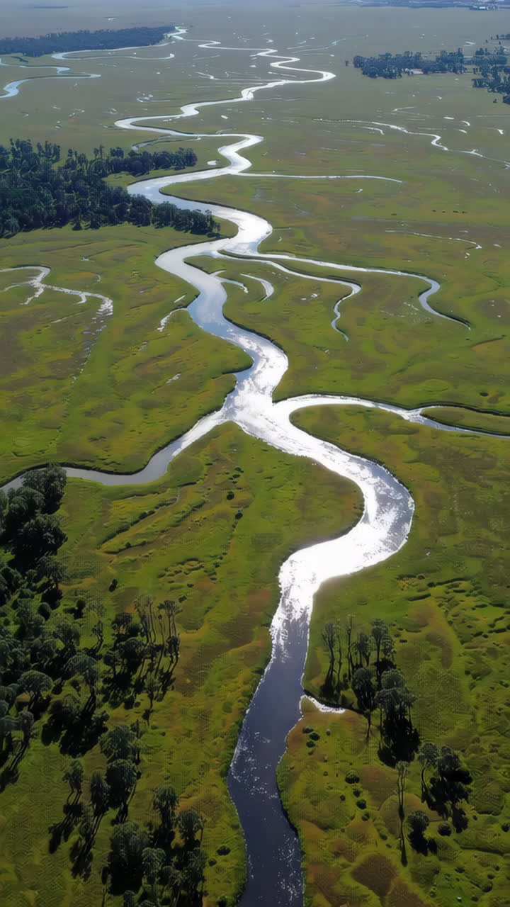 Aerial View of a Winding River Through Green Marshland with Sun Reflection