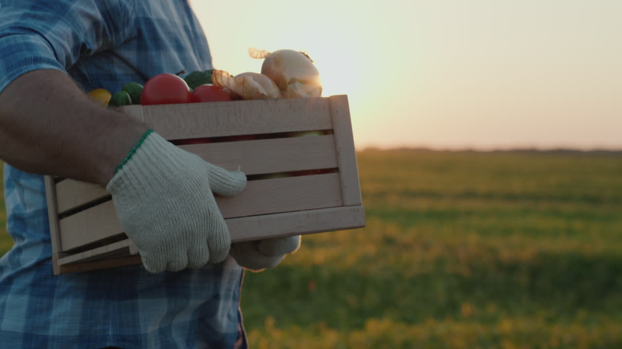 un agricultor lleva una caja de verduras frescas de su campo 4