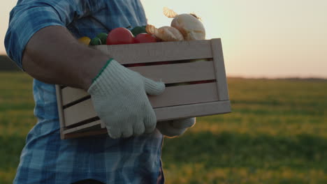 un agricultor lleva una caja de verduras frescas de su campo 4
