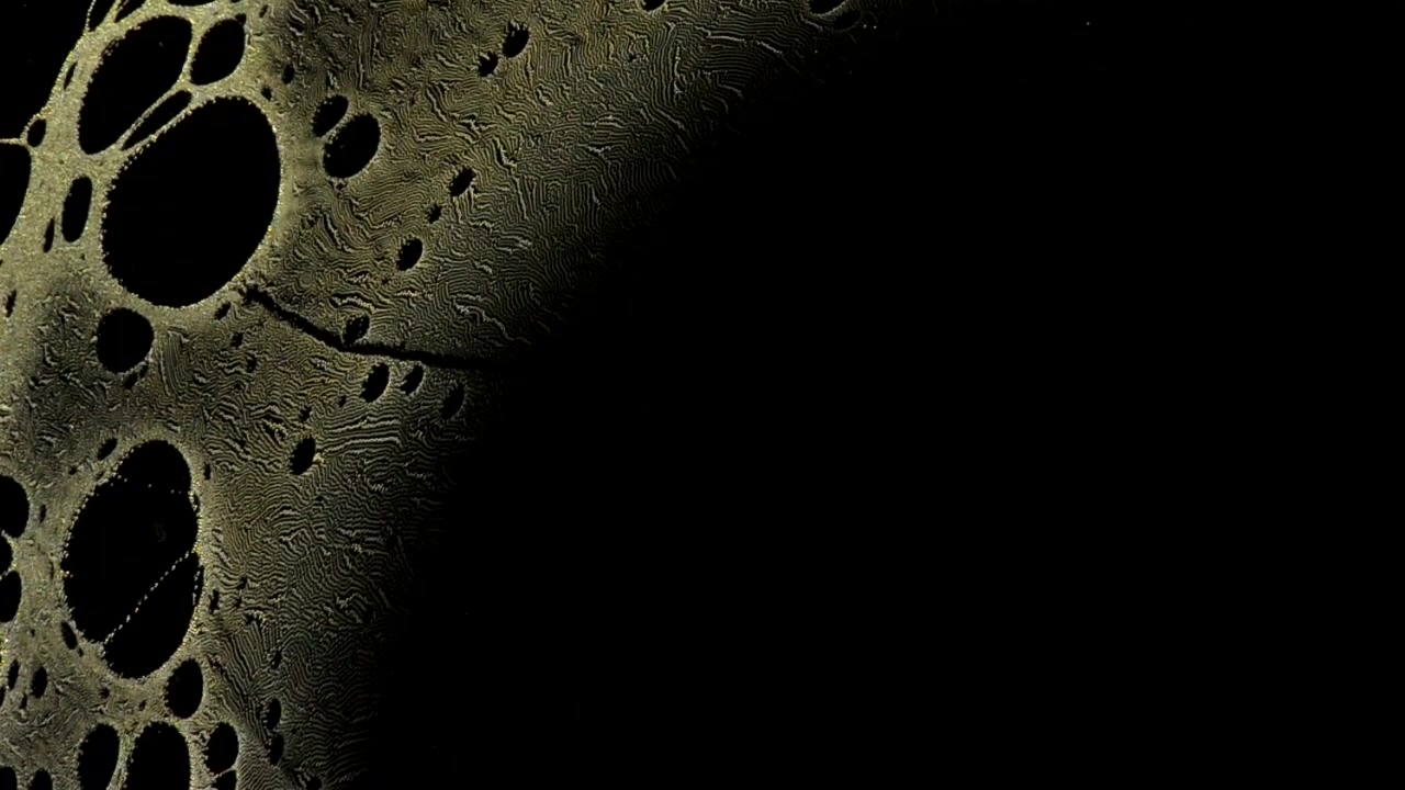 Our lights began to reveal the complex pulsing skin of the creature