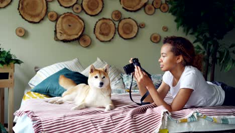 young female photographer is shooting beautiful pet dog lying on bed then stroking well-bred animal and watching pictures on camera screen. photography and pets concept.