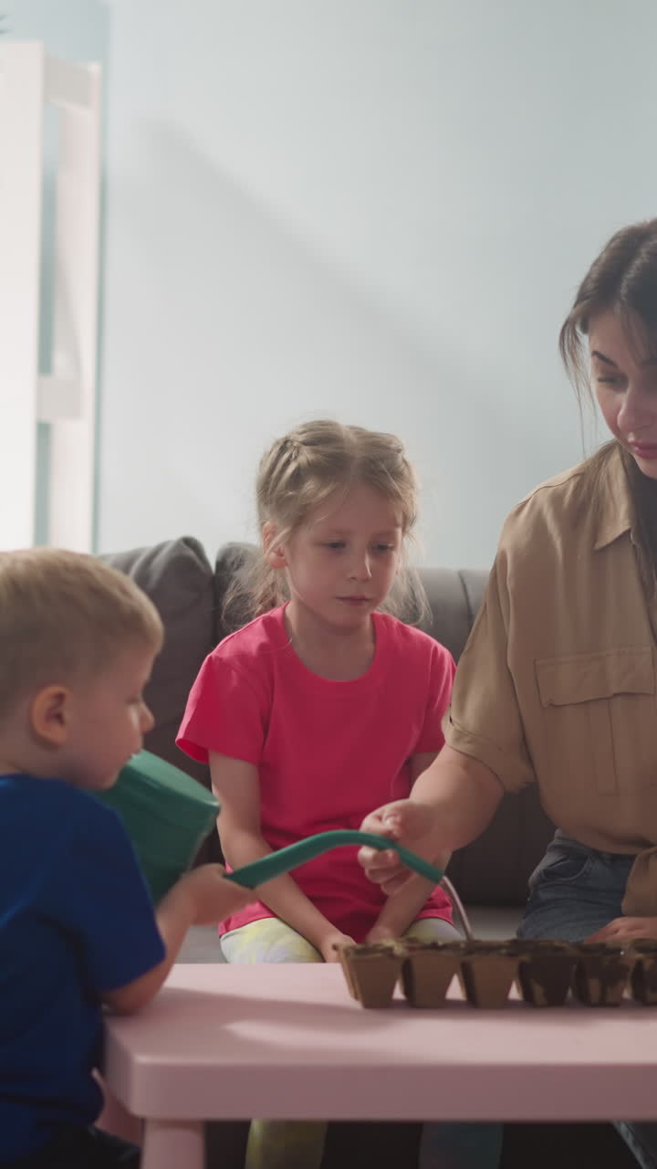 Toddler boy waters seeds in seedling tray with mother control and elder sister at home slow motion. Little kid helps woman to look after plants