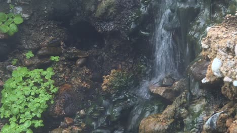 Waterfall-Cascading-On-Rocks-In-Boise-National-Forest,-Idaho,-United-States---Close-Up