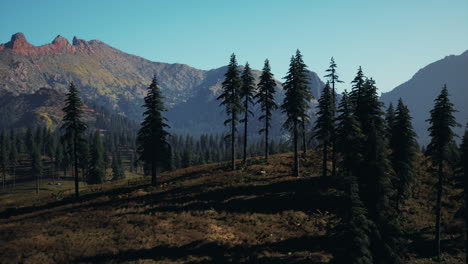 Aerial-view-over-Mountain-range-with-pine-forest-in-Bavaria