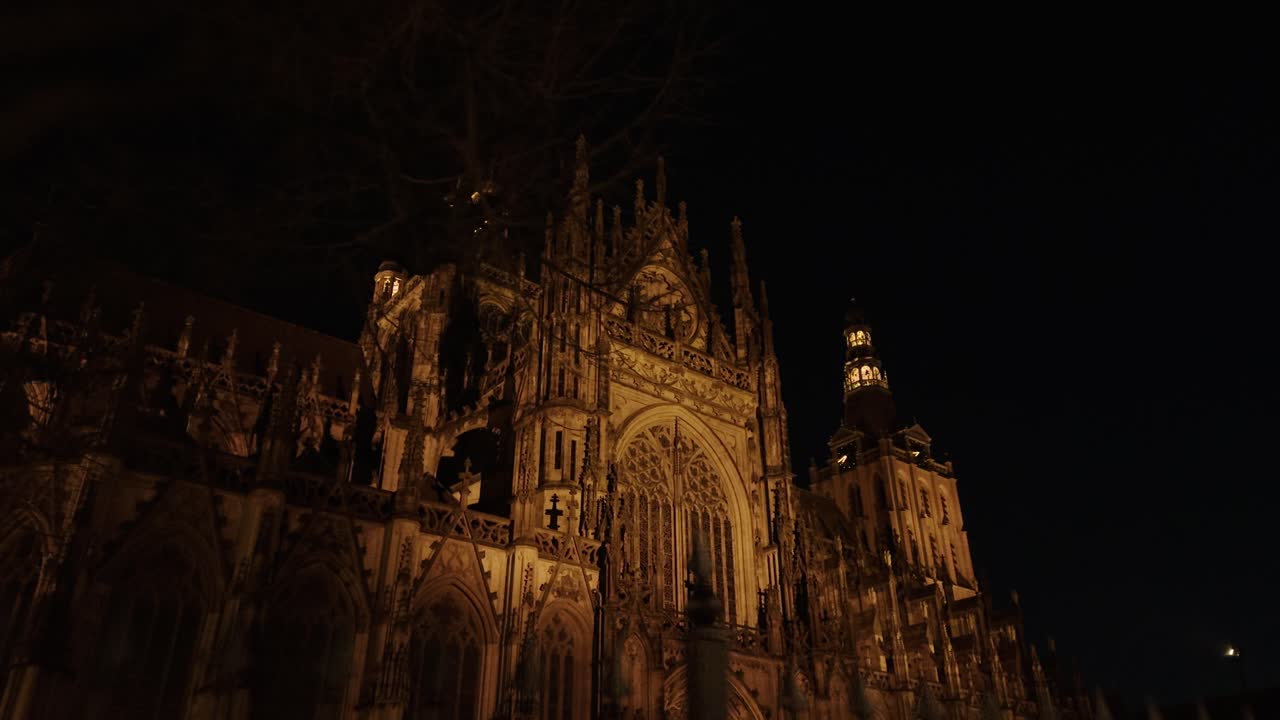 Dutch Cathedral building with a tree in Hertogenbosch in the Netherlands, European traditional authentic architecture style in the night time