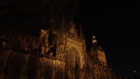 dutch cathedral building with a tree in hertogenbosch in the netherlands, european traditional authentic architecture style in the night time