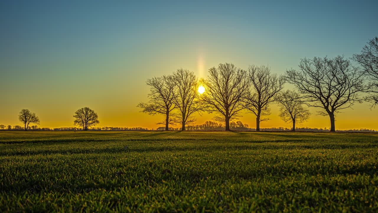 Timelapse of Golden Sunrise Casting Warm Light Over Field with Tree Silhouettes