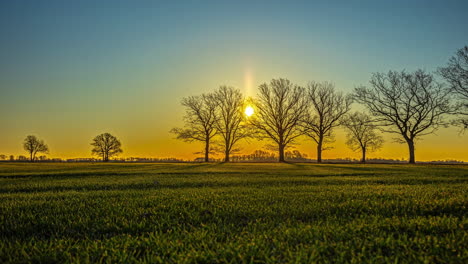 timelapse of golden sunrise casting warm light over field with tree silhouettes