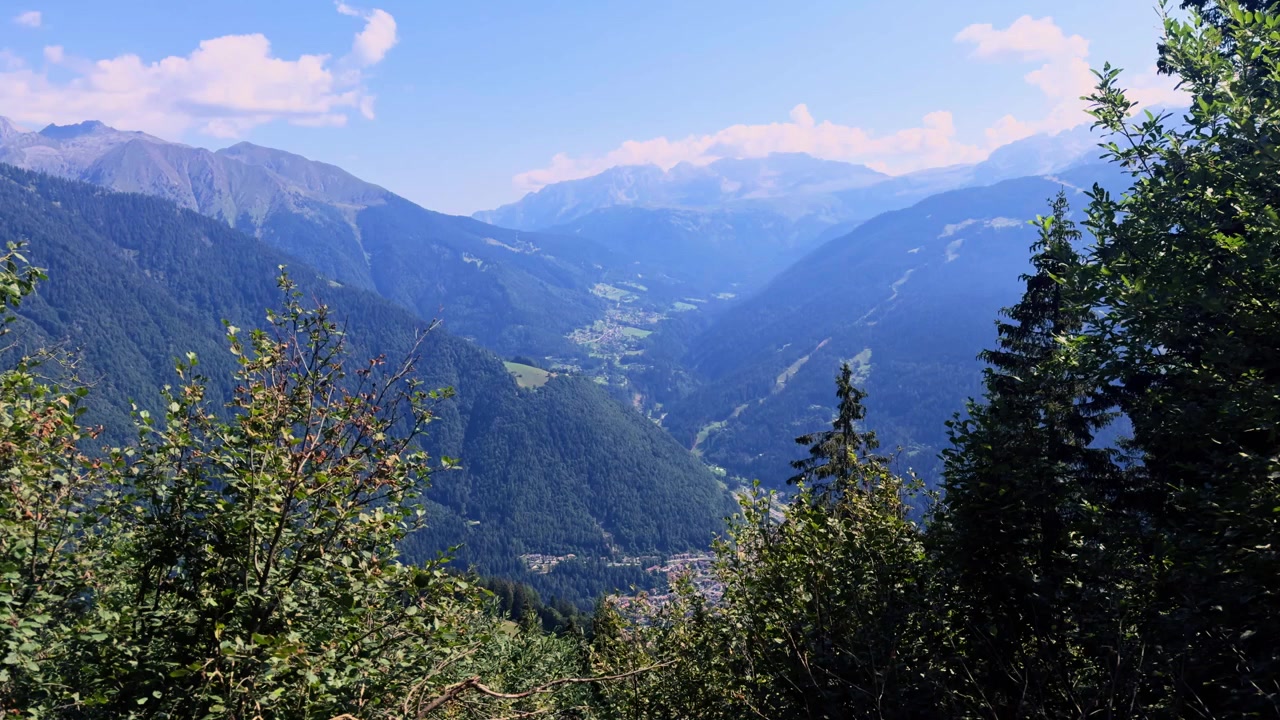 Maestoso panorama di una soleggiata valle alpina con lussureggianti foreste verdi e montagne che si estendono in lontananza sotto un cielo blu in Trentino.