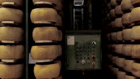 machine cleaning, brushing the producer's ripened parmesan cheese