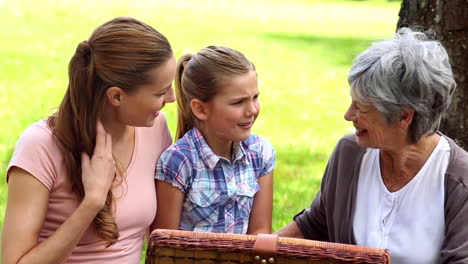 Drei-Generationen-Von-Frauen-Beim-Picknick