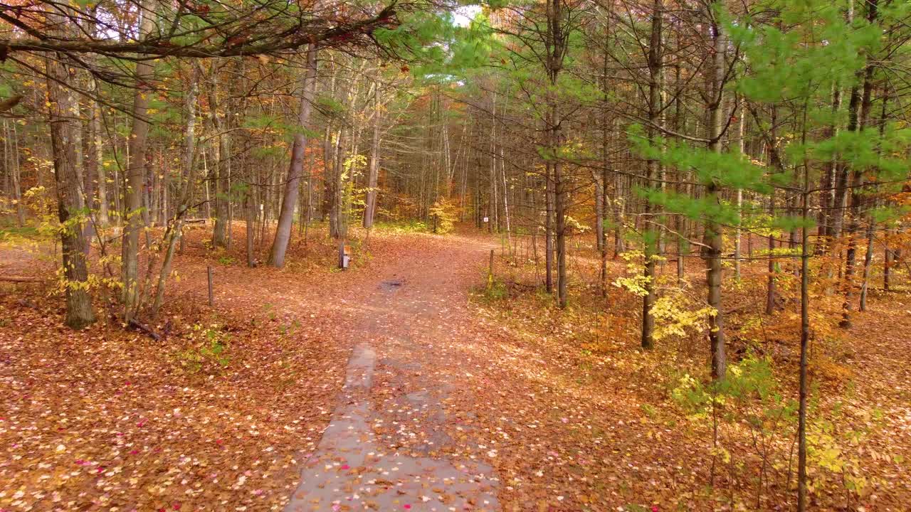 Forest path covered in autumn leaves in Oka National Park, Québec, Canada