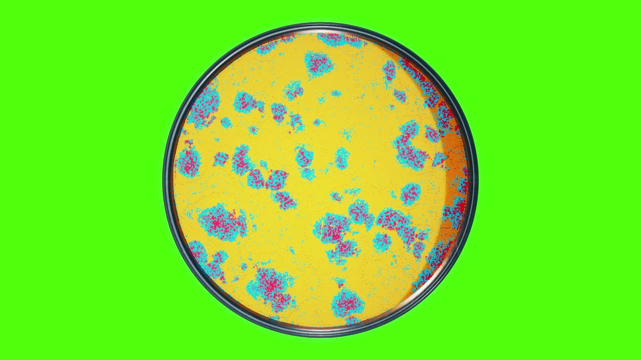 Greenscreen Render of Evolving yellow bacteria culture or abstract virus forming vibrant patterns in petri plate in a medical lab