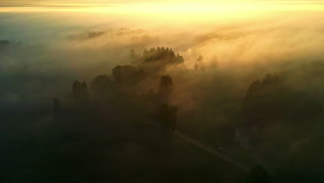 Silhouette-of-forest-during-foggy-morning-with-bright-sunrise,-aerial-view