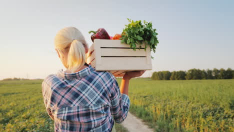 Eine-Bäuerin-Mit-Einer-Kiste-Frischem-Gemüse-Geht-über-Ihr-Feld-Gesunde-Ernährung-Und-Frisches-Gemüse