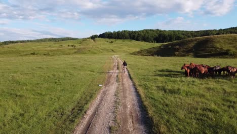 aerial footage of a male ridding his bike on a country road on a sunny summer day