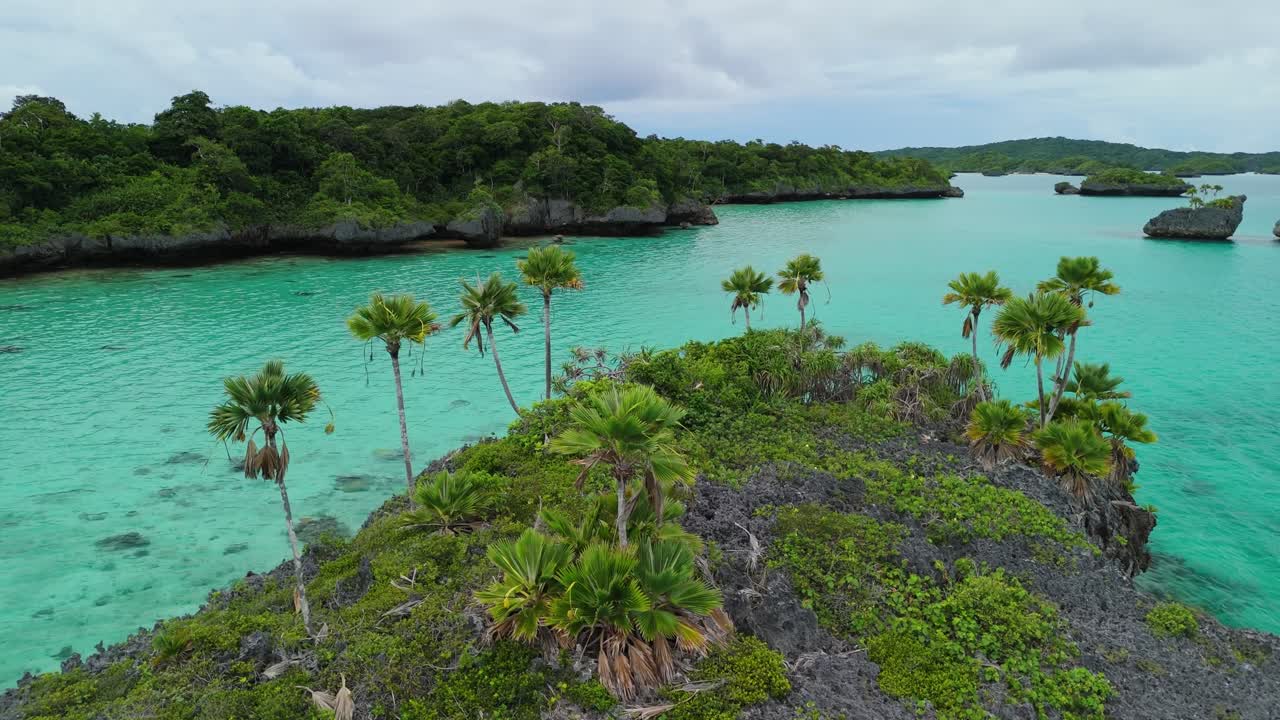drone volando bajo sobre palmeras en una pequeña roca en las islas fiji