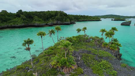 drone flying low over palm trees on small rock in fiji islands