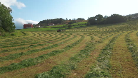 rows of cut-down fodder ready to be collected for silage production, low aerial