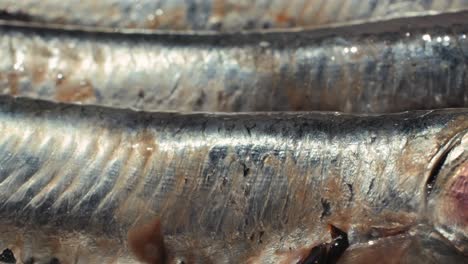 close-up of cooked anchovies