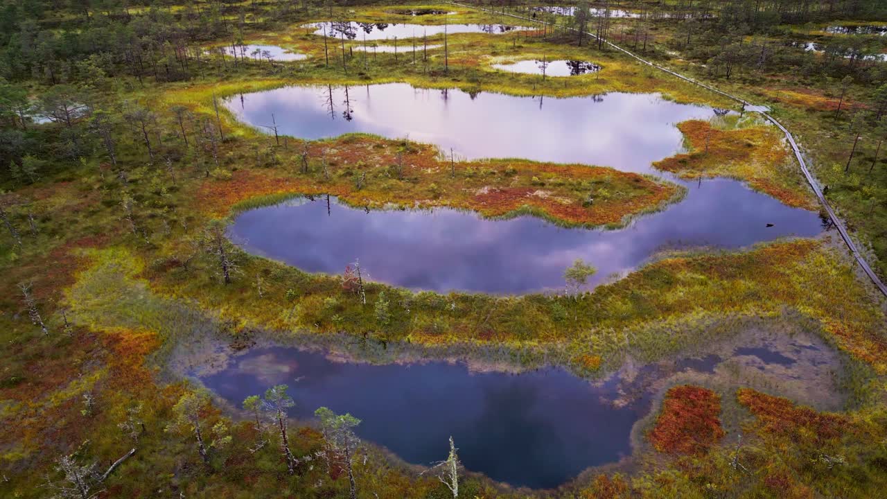 Scenic Viru Bog Estonia features autumn moss wetlands surrounding reflective blue lakes with tall pine forests creating a stunning northern European landscape preserved in Lahemaa