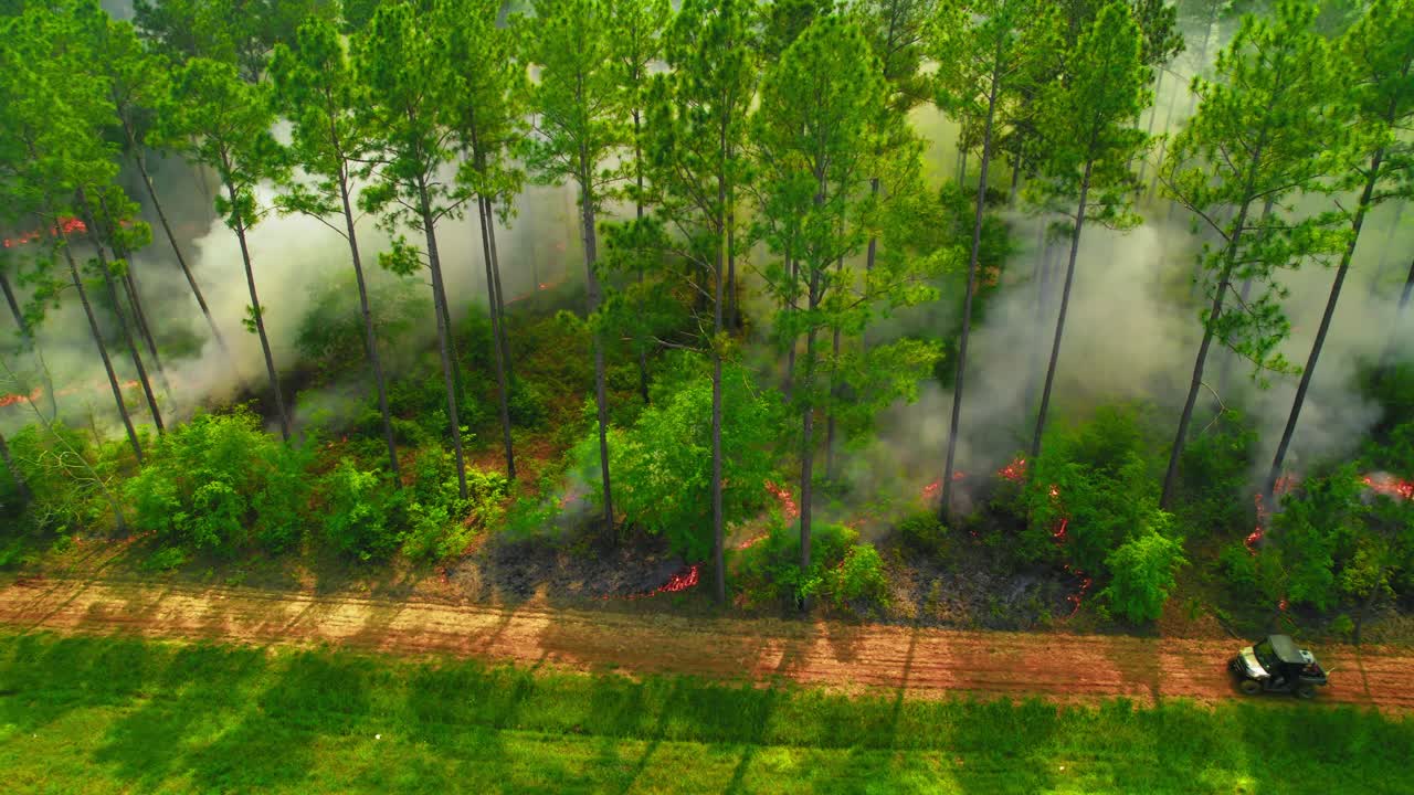 Aerial View of Ground Fire Burning Through Pine Forest Underbrush with Visible Flames and Smoke. ATV responding to emergency. Midwest America Disaster