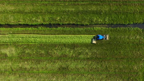 Blue-Tractor-Mowing-Big-Field-of-Green-Lush-Grass,-Top-Down-Aerial,-Static,-Wide-Angle