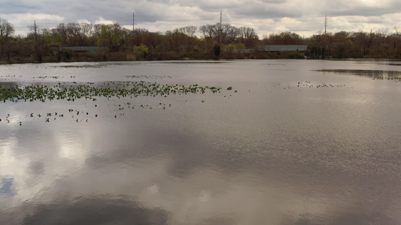 흐린 날에 나무로 둘러싸인 조용한 호수 위로 드론이 발사되었습니다.