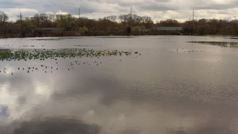un dron disparó sobre un lago tranquilo, rodeado de árboles en un día nublado