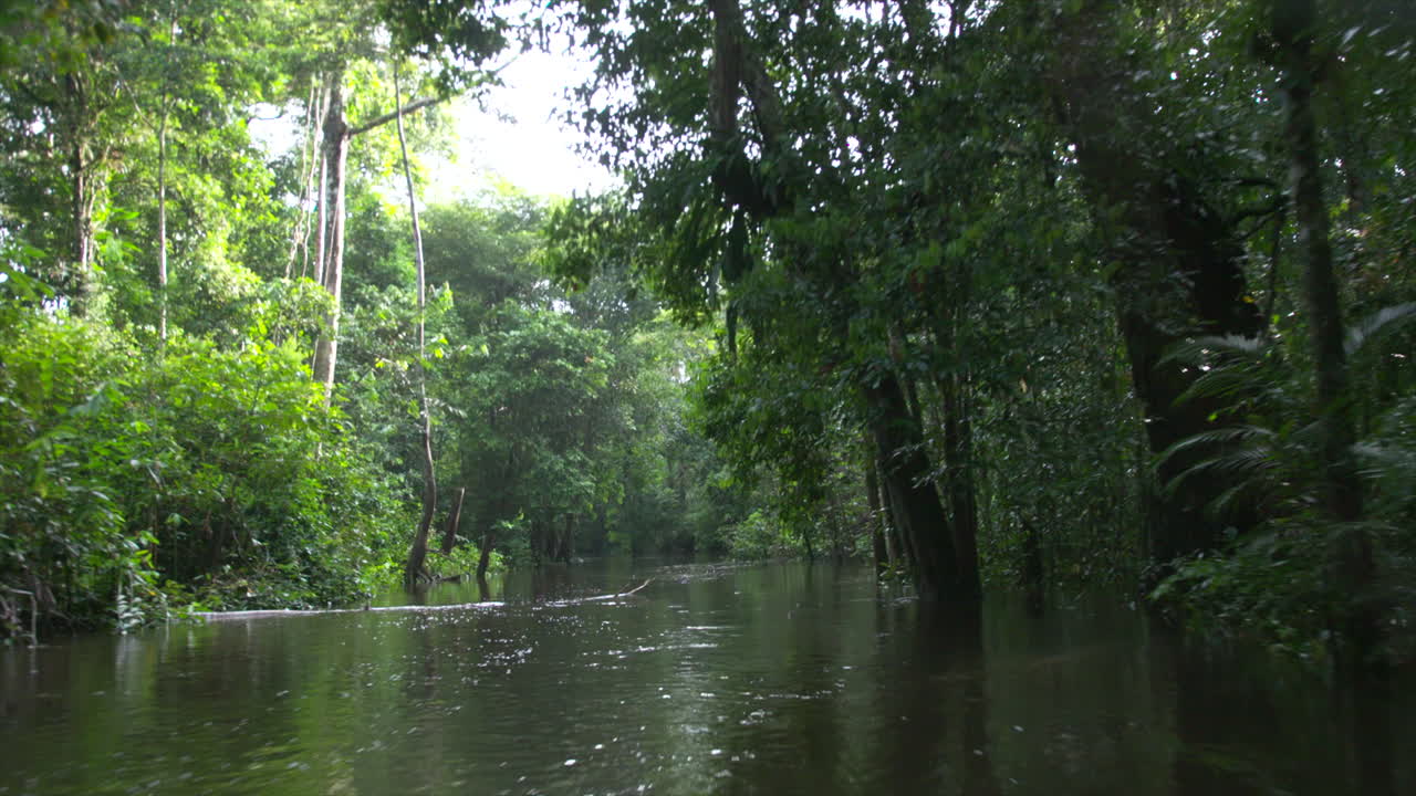 vista en primera persona desde un barco que viaja a través de un estrecho tramo del río amazonas rodeado de selva durante el día