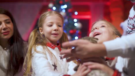 kids playing with an adorable cat at christmas. happy family members enjoy with a little kitten in new year while spending time together