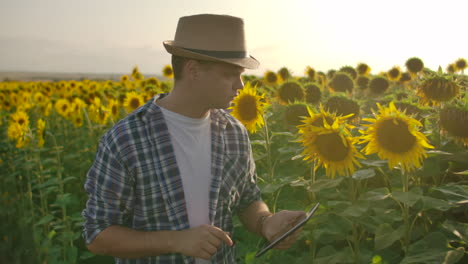 Un-Hombre-Trabaja-En-Un-Campo-Con-Girasoles-En-Verano-Y-Estudia-Sus-Propiedades.-Escribe-Información-En-Su-Tablet-Pc