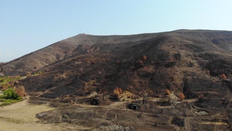 Montaña-Desierta-Después-Del-Fuego-Con-árboles-Quemados-Y-Hierba-Cubierta-De-Ceniza-Negra