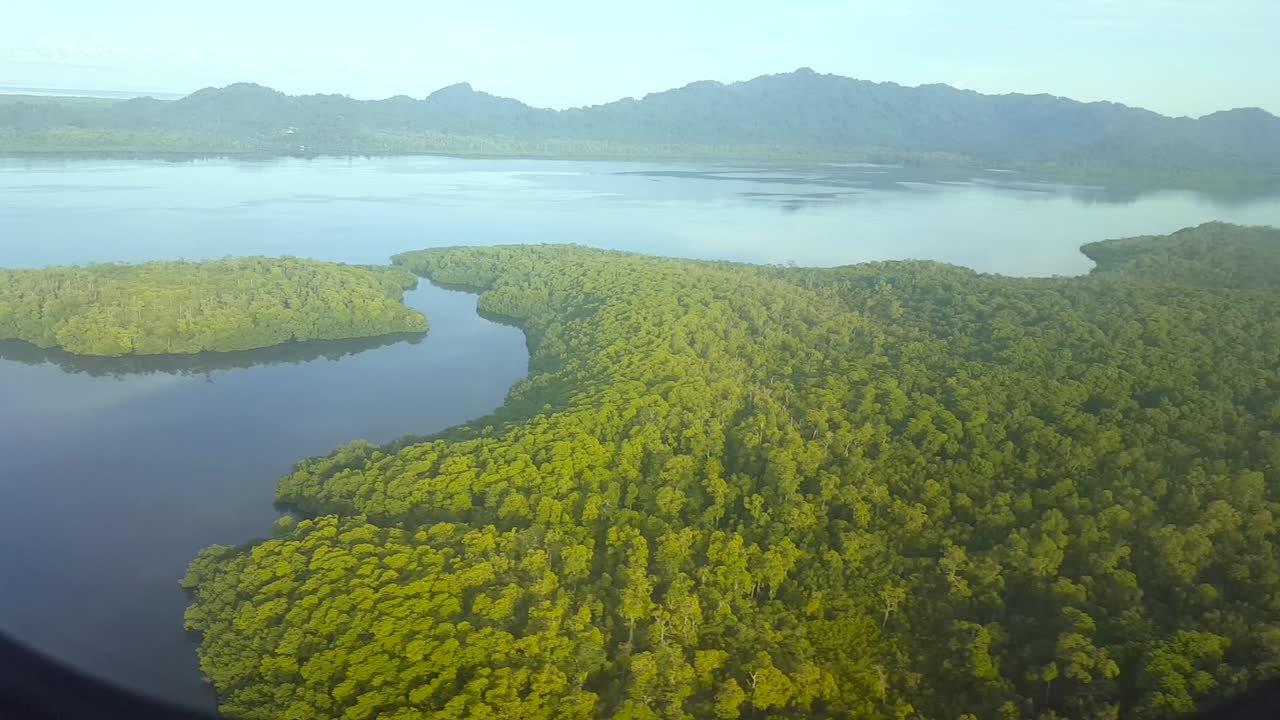 Flying over dense rainforest, trees and ocean in an aeroplane on a tropical island travel adventure in the wilderness