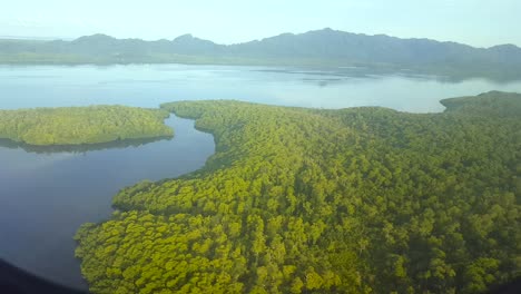 flying over dense rainforest, trees and ocean in an aeroplane on a tropical island travel adventure in the wilderness