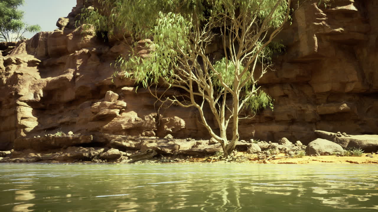 Serene riverside landscape showcasing natural beauty at midday
