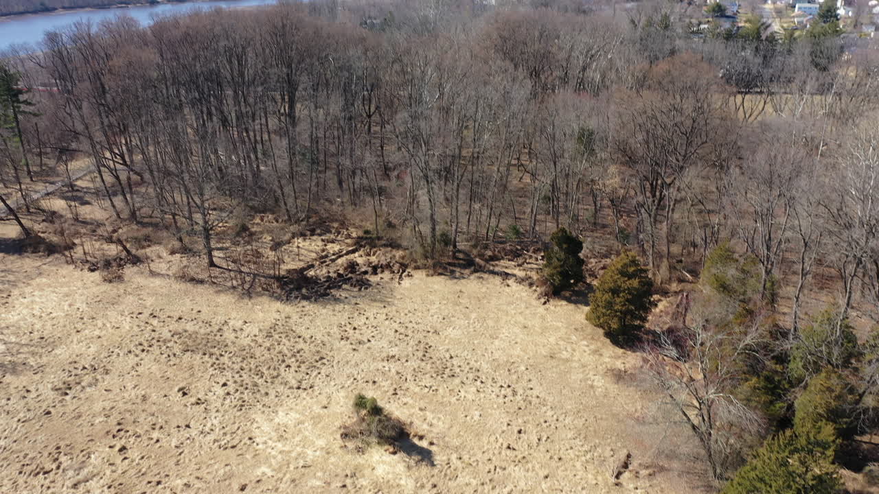 벌거벗은 나무들로 둘러싸인 마른 풀밭 위에 공중 촬영
